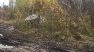 Мы ездим там где волки срать бояться