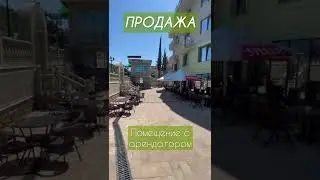 Астория 50 на 50