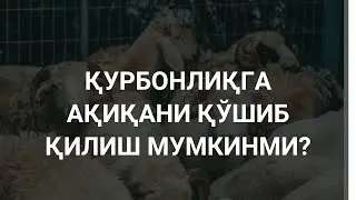 Қурбонлиқга ақиқани қўшиб қилиш мумкинми?