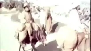 جزيرة جربة سنة 1952 - Île de Djerba