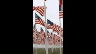 Memorial Day