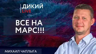 Пас на тренера, или Теребя электорат… Михаил Чаплыга. Дикий LIVE.
