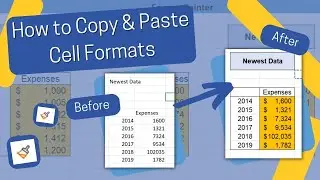 How to Copy and Paste Cell Formats - Colors, Font, Style - in Excel (Format Painter Tutorial)