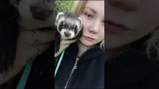 #животные