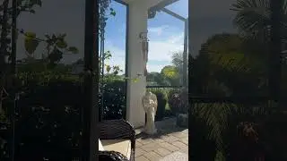 Ждала затмения Солнца и пропустила 😂 