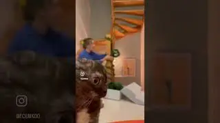 Yılbaşı hazırlığı🎄