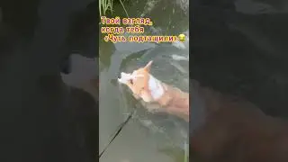 Когда тебя « Чуть подтащили…»😂