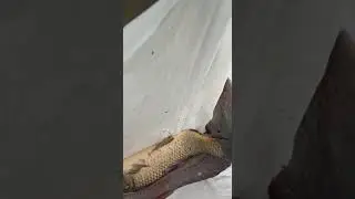 Добро пожаловать друзья!