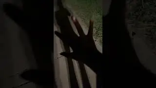 Lightning ⚡️⚡️￼￼
