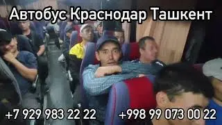 Автобус Краснодар Ташкент, Краснодар Ташкент пассажирские перевозки, краснодар-ташкент автобус