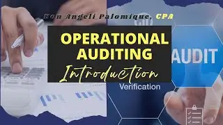 Introduction to Operational Auditing
