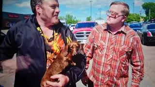 trailer park boys season 11 Ricky rescues a dog from overheating in a car