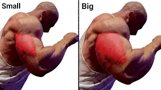 Tricep Exercises for Big Stronger Triceps