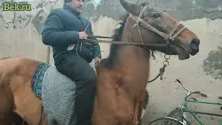 ШАХРИТУЗ БОЗОРИДА ОТ ВА ТОЙ НАРХЛАРИ ЖУДА АРЗОНМИ