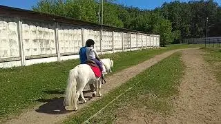 Тренировка на пони 26.05.18