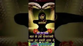 🙏🙏जय शिव शंकर ##shorts #trading #ytshorts #🐚🐚🐚👍👍✌️✌️🍍🍍🍍🙏🙏🙏🍋♥️🍋🐚🐚🐚