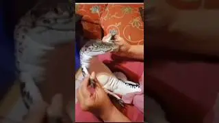 Рамазан и крокодил 🐊