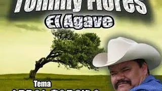 El agave tommy flores árbol torcido