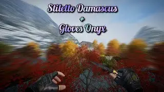 Stiletto Damascus + Gloves Onyx