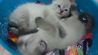Как миленько..нашли  место 😅
