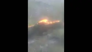 Филин 2017: