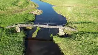 Мошки  Гусенцы Тверская область