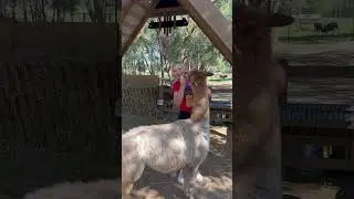 #как#дети