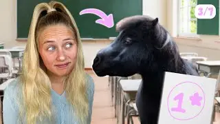 Mit den Ponys zur SCHULE! - OWWM Tag 3