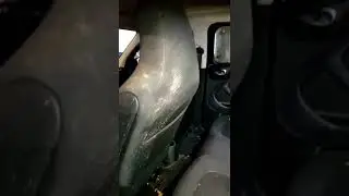 Очень грязный Smart, хозяин был счастлив  
