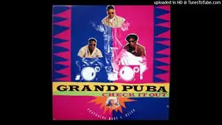 Grand Puba Ft. Mary J Blige - Check It Out (Remix)