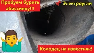 Абиссинка не получилась. Колодец на известняк.