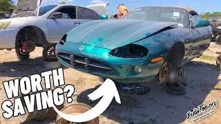 JUNKYARD SCORE! Jaguar XK8 Abandoned Project Car....