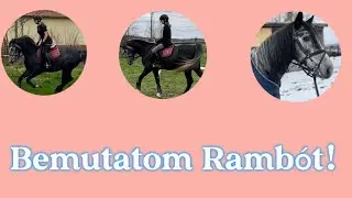 Bemutatom nektek Rambót! 🥰 | 𝐻𝐴𝑙𝑖