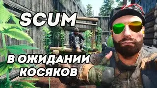 Ранний доступ к обнове Scum 0.8.500