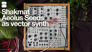 Aeolus Seeds as vector synthesis tool
