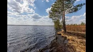 Оленье озеро, Владимирская обл. Мещерские болота.