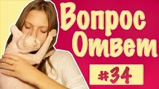 Вопрос-ответ #34 // Юля Брошкина