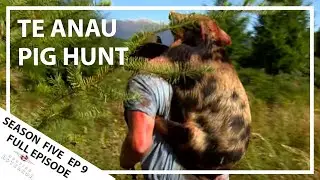 Hunting Aotearoa Series 5 EP09 Pig hunting in Te Anau