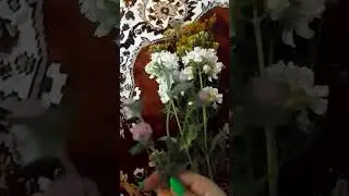 Букетик из трав | Защитный оберег из лекарственных, полевых цветов