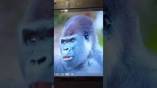 Все под контролем