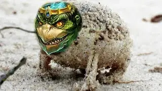 Angry Squeaking Kuzenbo