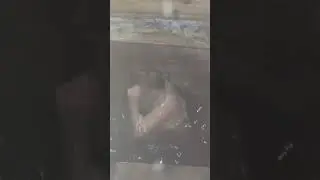 #Купель