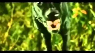 Filmato 0001