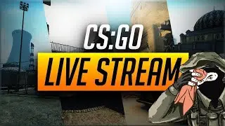 стримчег csgo