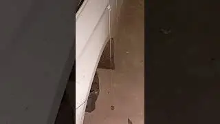 19.11.23.