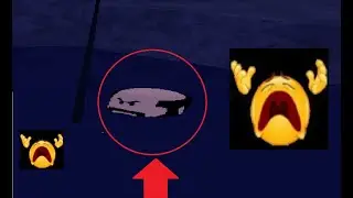 What Blud doing in there? 😭😭😭🙏🙏 [ Fisch ]