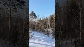 Мишка,на гору полезем?Ну нет, так нет🙂