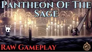 Pantheon of the Sage - Hollow Knight Full Pantheon 3 Run