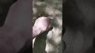 круг на точило из песка с речки.