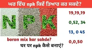 ਘਰ ਵਿੱਚ npk ਕਿਵੇਂ ਬਣਾ ਸਕਦੇ। घर पर npk कैसे बनाएं। Npk fertilizer?
